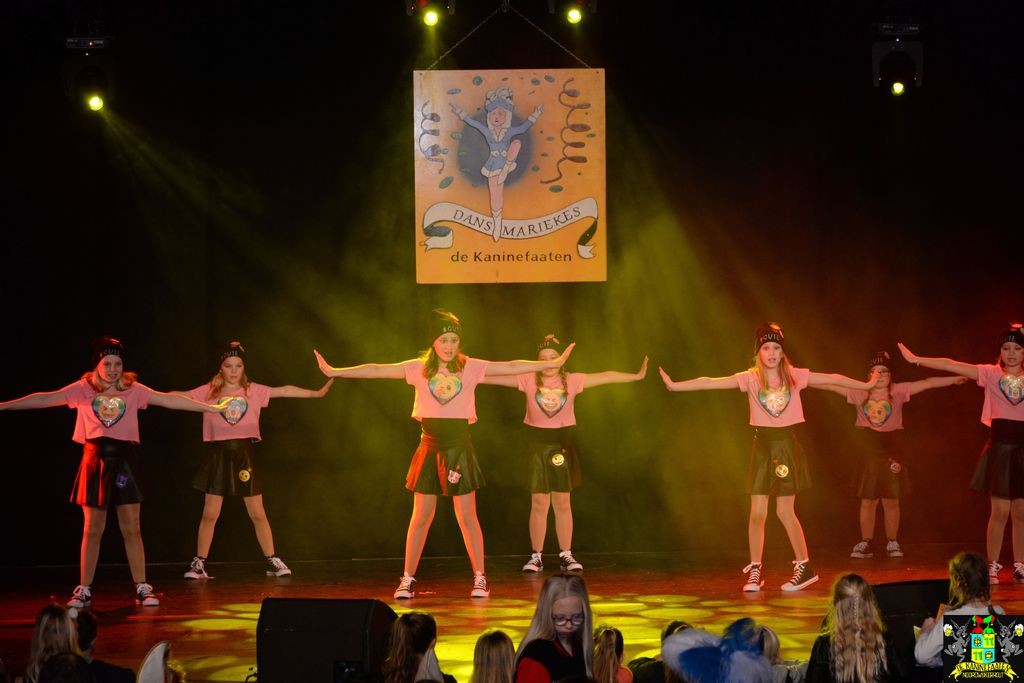 ../Images/Dansmarieke festival 2018 373.jpg